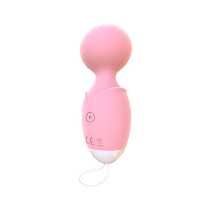 egg vibrator